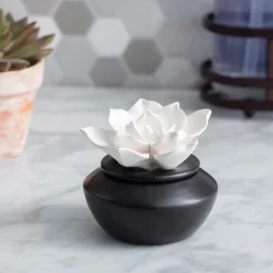 Porcelain Gardenia Airome Diffuser with Peppermint Oil Aromatherapy