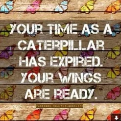 Purple CZ Butterfly Bracelets in Sterling Silver