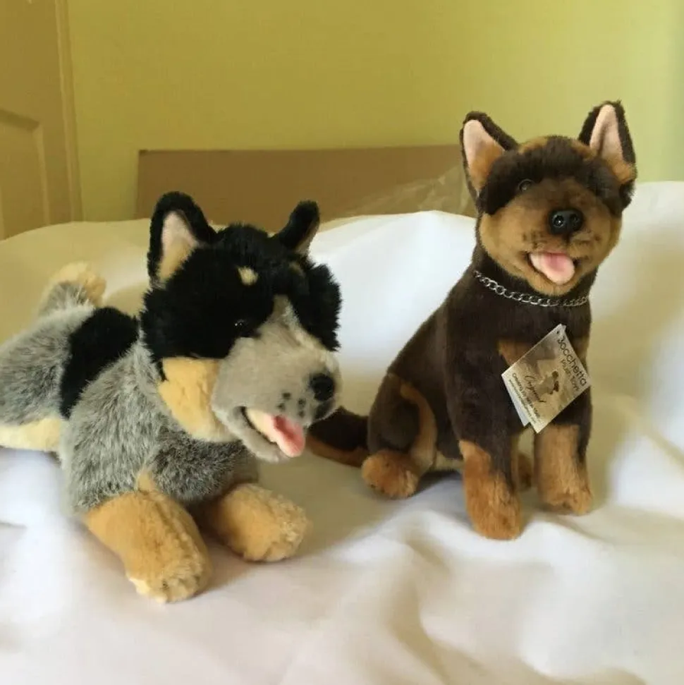 Red and Tan Australian Kelpie Small Sitting Size 21cm/8.25"