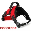 Red Heavy Duty Dog Harness *
