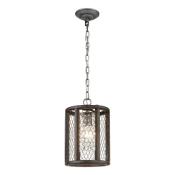 Renaissance Invention 1-Lght Pndnt Agd Wd & Wire Long