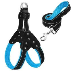 Rhinestone Cute Harness & Leash Reflective Nylon Set For Your Dog *