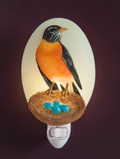 Robin With Nest Night Light- Handpainted by Ibis and Orchid
