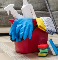 Rooterville Guest Rentals