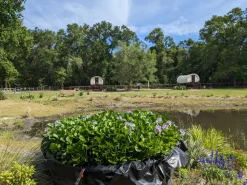 Rooterville Guest Rentals