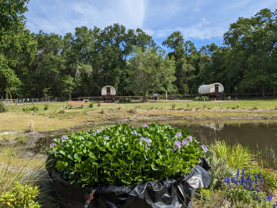 Rooterville Guest Rentals