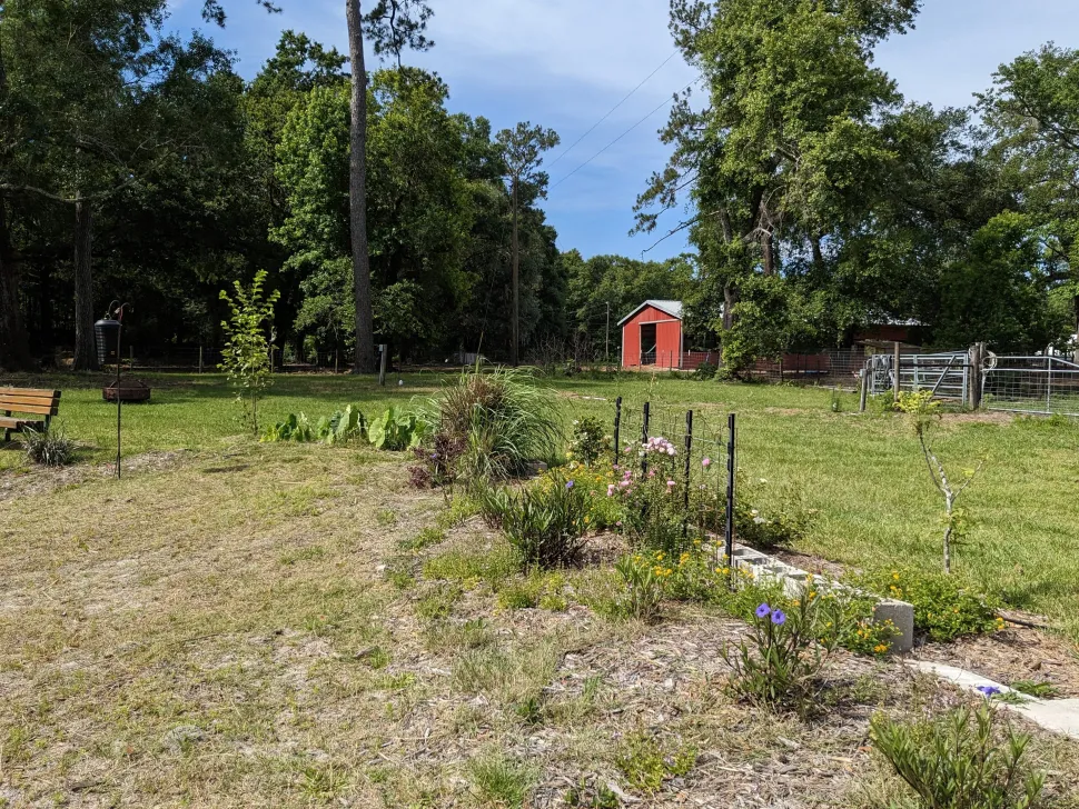 Rooterville Guest Rentals