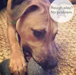 Rooterville Tweed Dog Toy Four Sizes-TOUGH, ECO-FRIENDLY, MADE IN THE USA