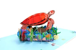 Sea Turtle Pop Up 3D Greeting Card
