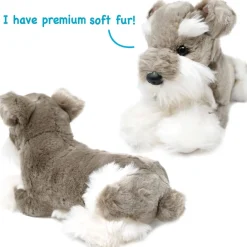 Siegfried The Schnauzer