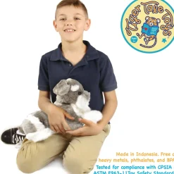 Siegfried The Schnauzer