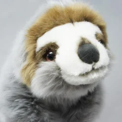 Siggy The three toed sloth baby