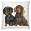 Slinky and Scooter Medium Pillow (17"x17")