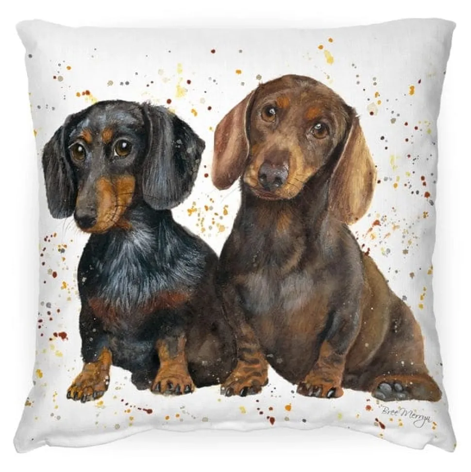 Slinky and Scooter Medium Pillow (17"x17")