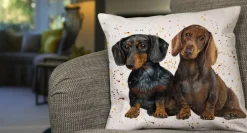 Slinky and Scooter Medium Pillow (17"x17")