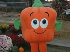 Spookley The Square Pumpkin Plushie and The Legend Of Spookley Book