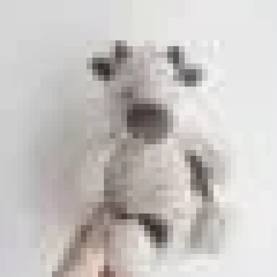 Super Soft Fluffy Stuffed Plush Animals-Pig, Cow, Puppy, Dinosaur, Koala