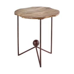 Telluride Wood and Metal Accent Table