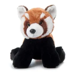 The Petting Zoo Red Panda