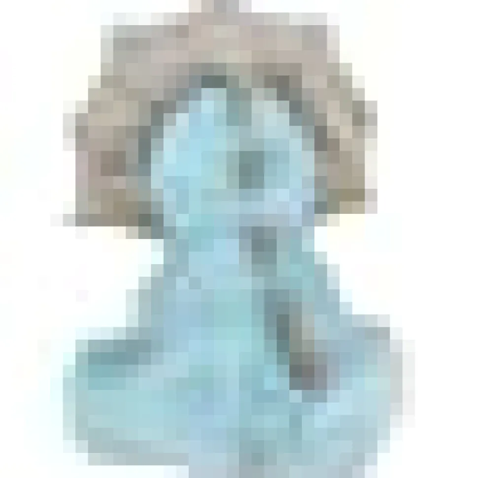 Tracer the Triceratops