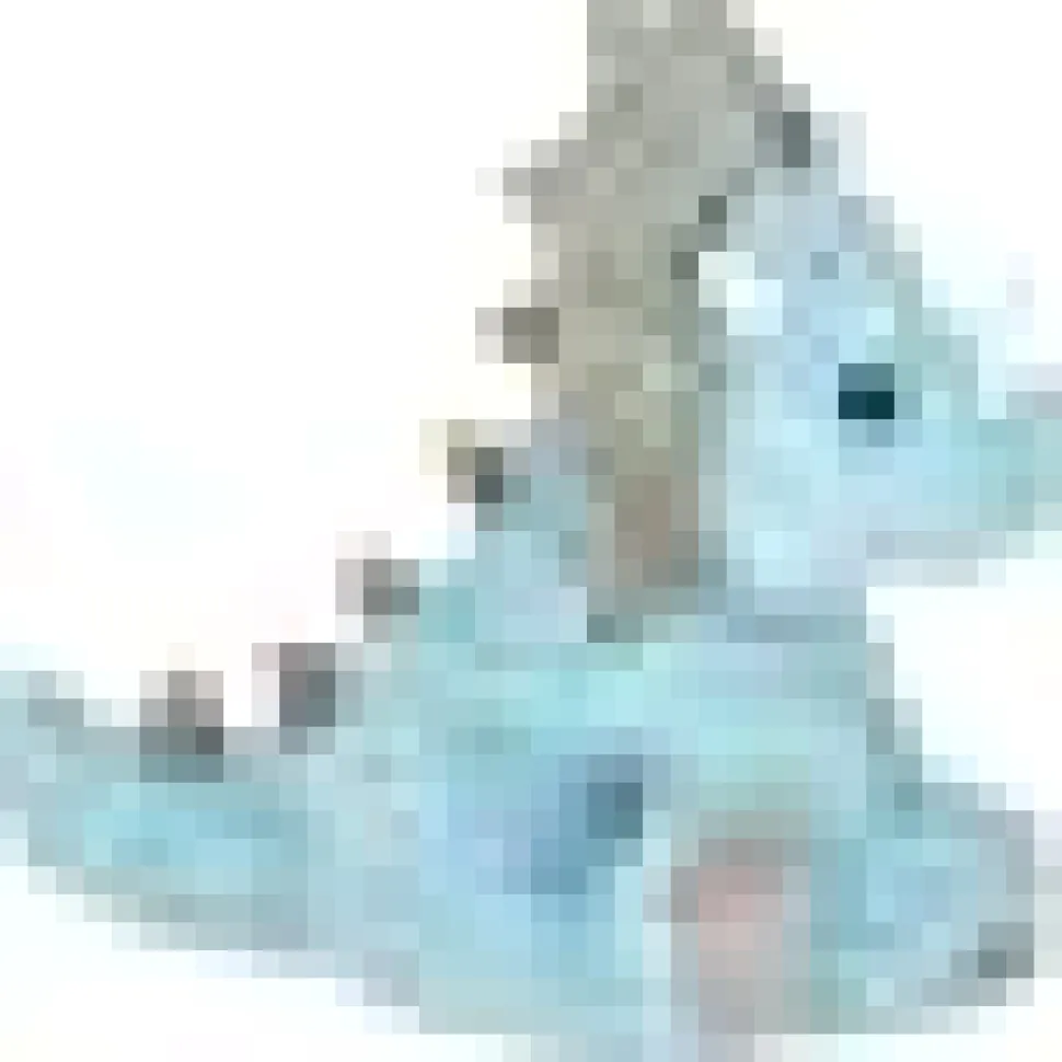 Tracer the Triceratops