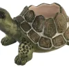 Turtle Planter