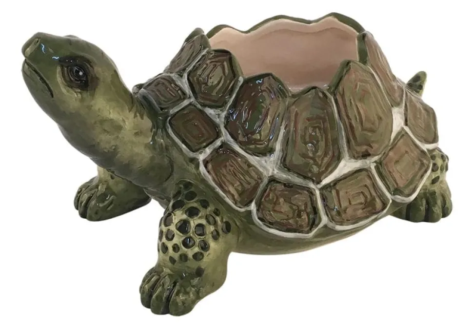 Turtle Planter