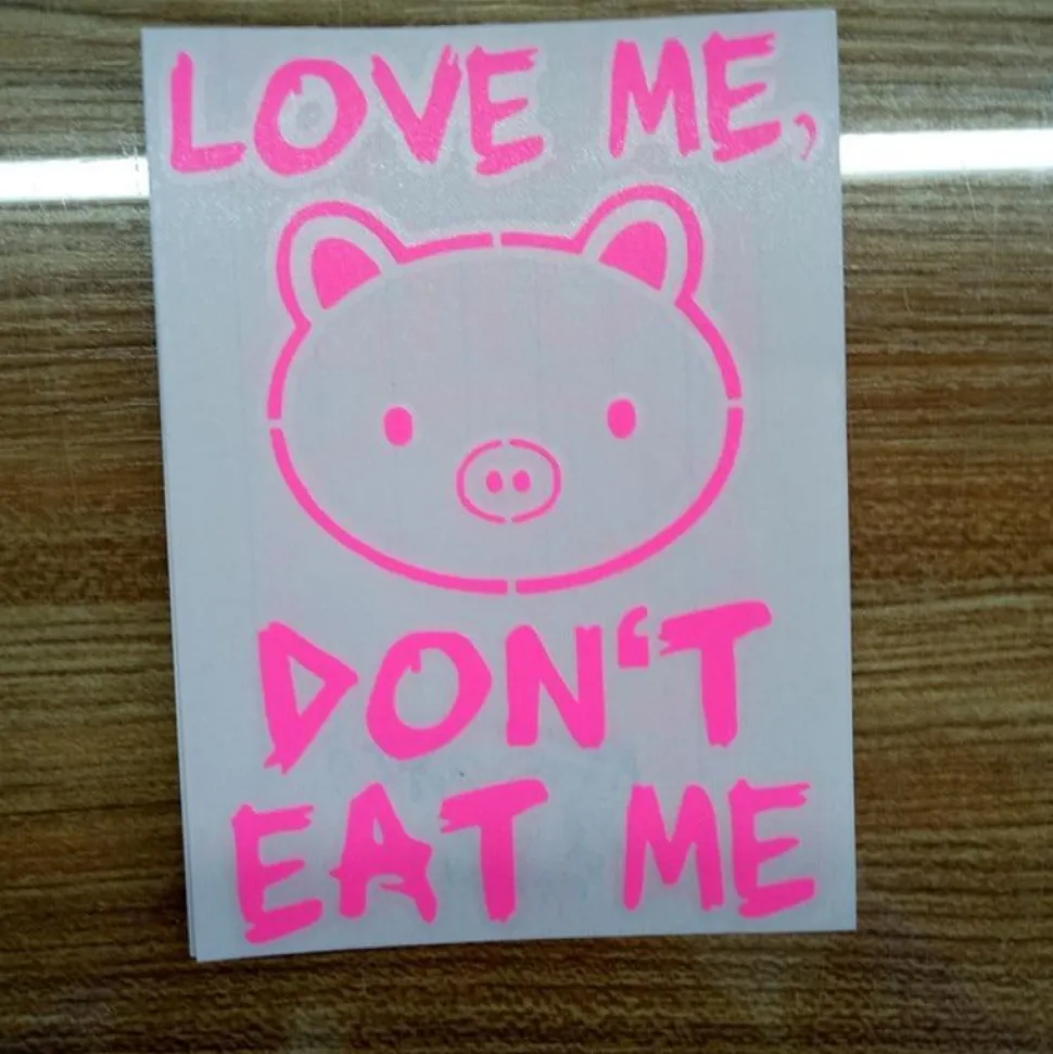 Vegan Vinyl Stickers for Your Car or WHEREVER! Spread KINDNESS!