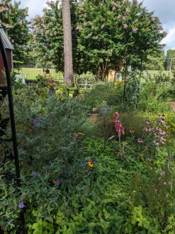 Wedding Ceremony with Rescued Farm Animals & Butterflies!