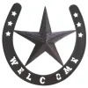 Western Star Metal Wall Decor