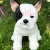 White with Black Spots Plush French Bulldog by Auswella