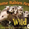 Wild Animal Babies Book for Kids: Some Babies Are Wild